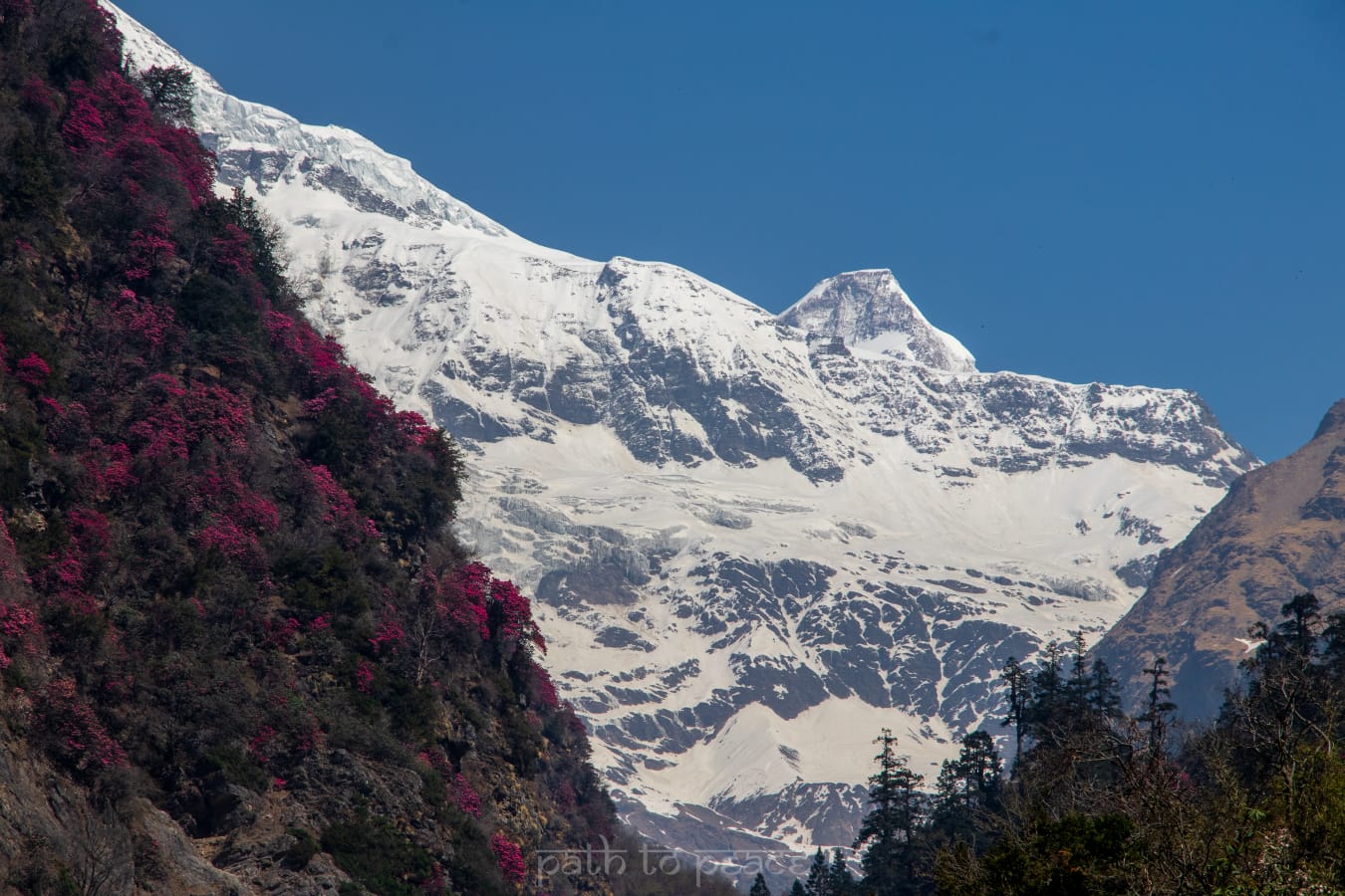 Blessed Aura Exterior