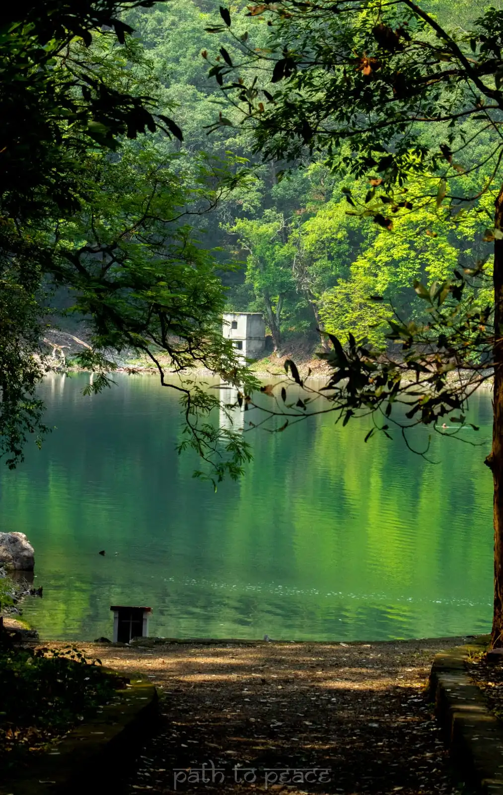 Bhimtal Lake at dusk